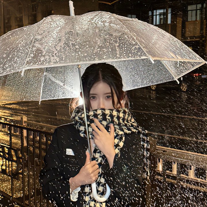 突尼西亚的胜利